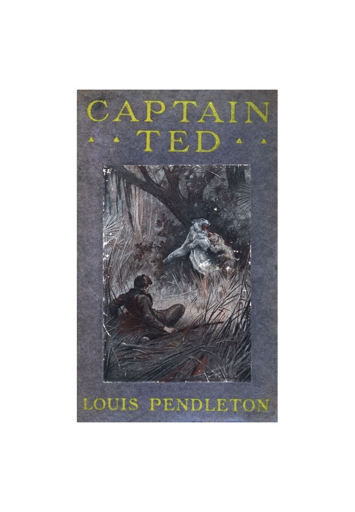 Captain Ted: A Boy's Adventures Among Hiding Slackers in the Great Georgia Swamp