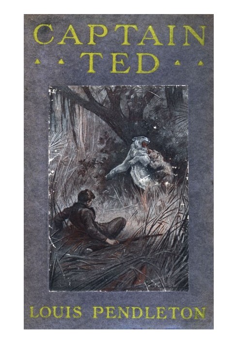 Captain Ted: A Boy's Adventures Among Hiding Slackers in the Great Georgia Swamp