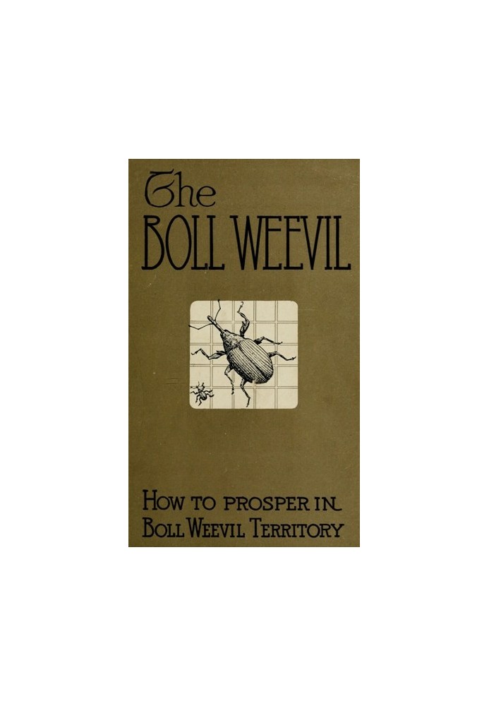 How to Prosper in Boll Weevil Territory