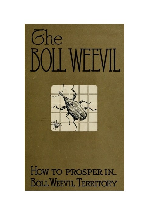 How to Prosper in Boll Weevil Territory