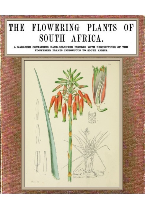 The flowering plants of South Africa; vol. 4