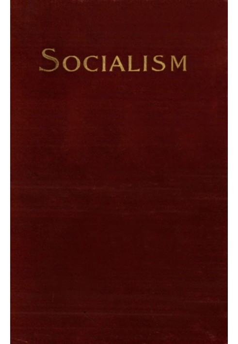 Socialism and the Social Movement in the 19th Century