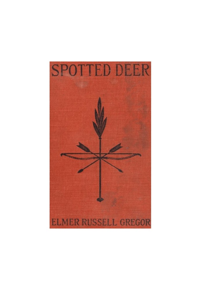 Spotted Deer