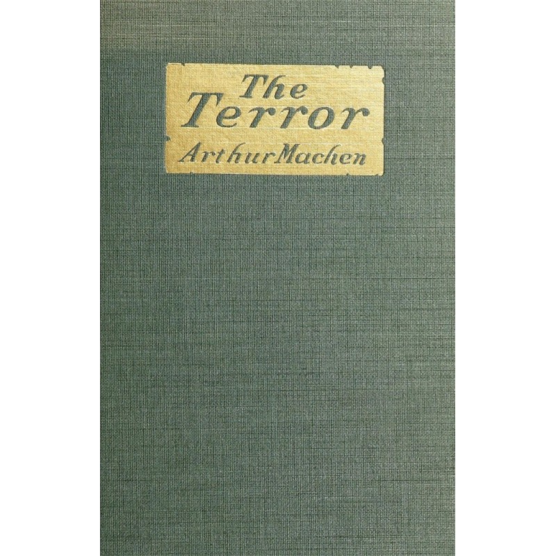 The Terror: A Mystery