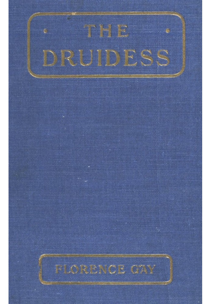 The Druidess: A Story for Boys and Others