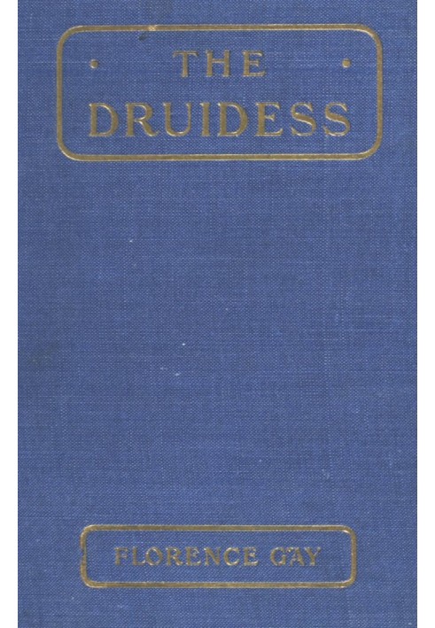 The Druidess: A Story for Boys and Others