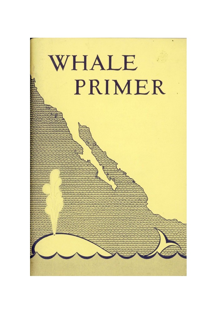 Whale Primer, with Special Attention to the California Gray Whale