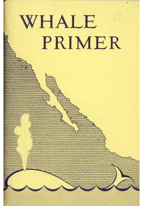 Whale Primer, with Special Attention to the California Gray Whale