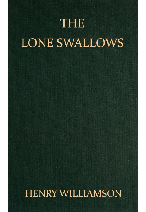 The Lone Swallows