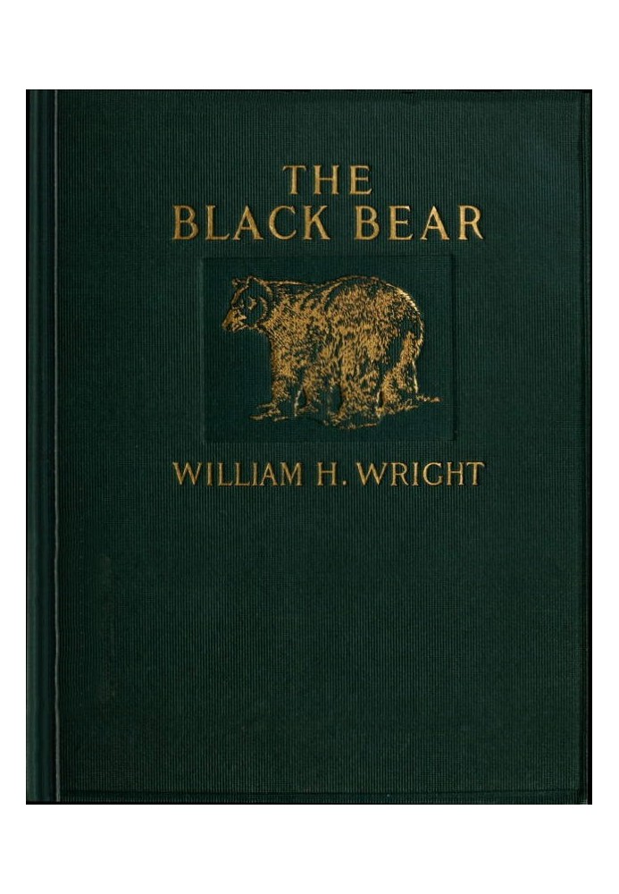 The Black Bear