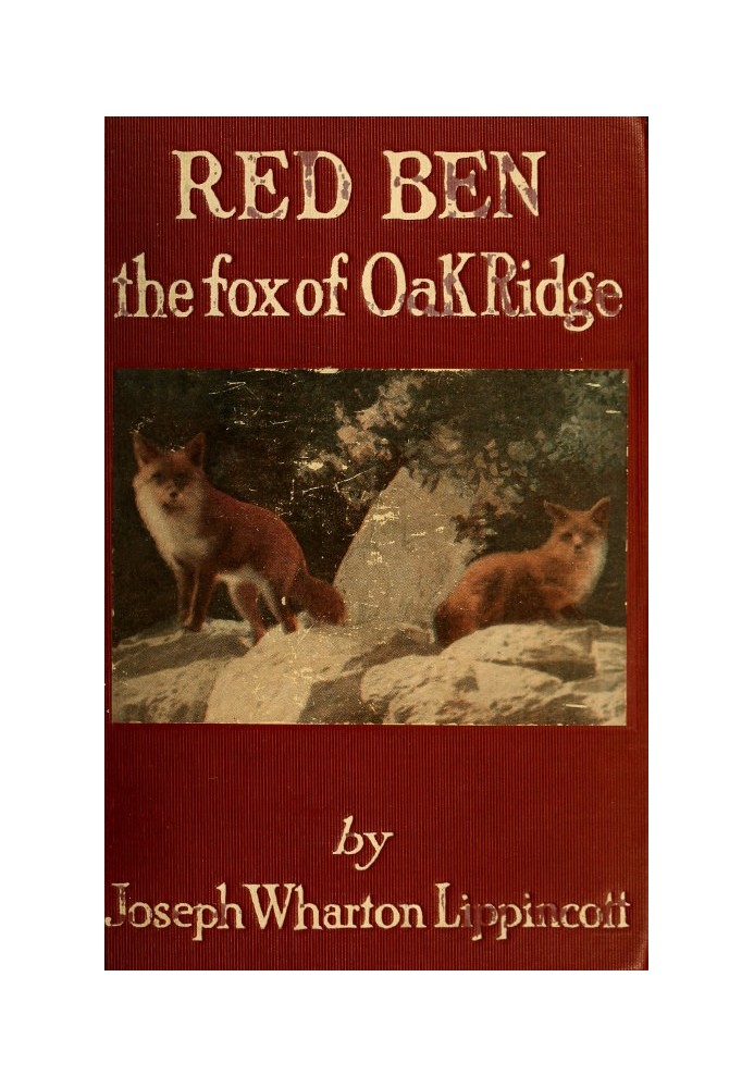 Red Ben, the Fox of Oak Ridge