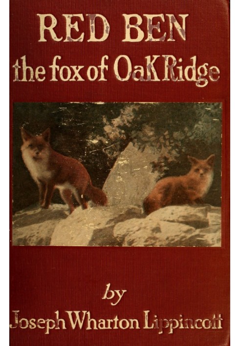 Red Ben, the Fox of Oak Ridge