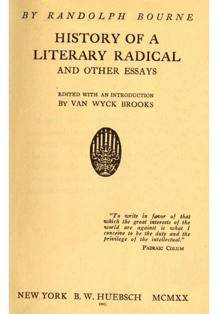 История литературного радикала и другие очерки