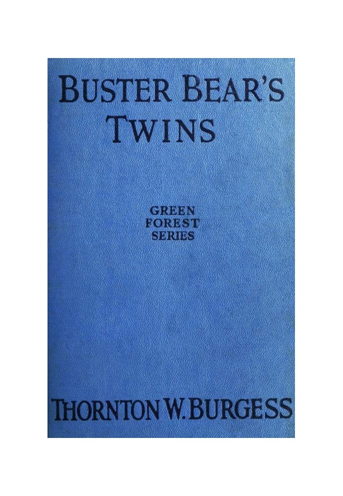 Buster Bear's Twins