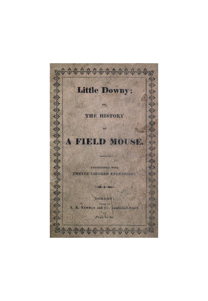 Little Downy: The History of a Field-Mouse