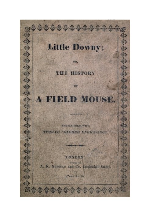 Little Downy: The History of a Field-Mouse