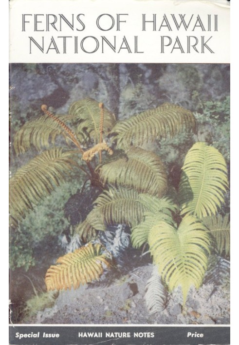 Ferns of Hawaii National Park