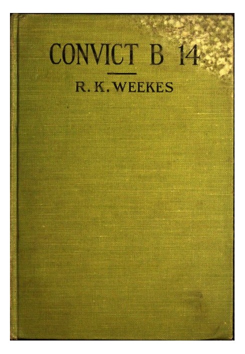 Convict B 14: A Novel