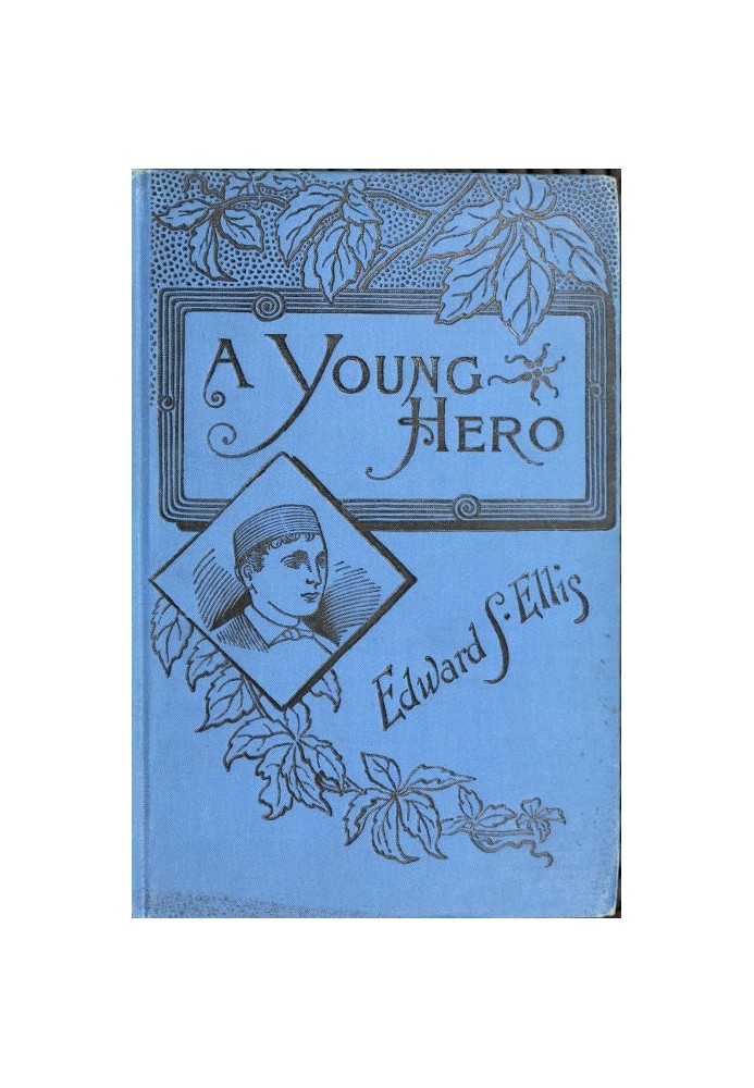 A Young Hero; Or, Fighting to Win