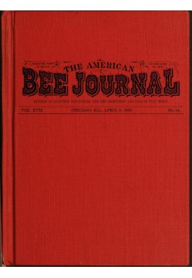 Американский пчелиный журнал. Том. XVII. № 14. 6 апреля 1881 г.