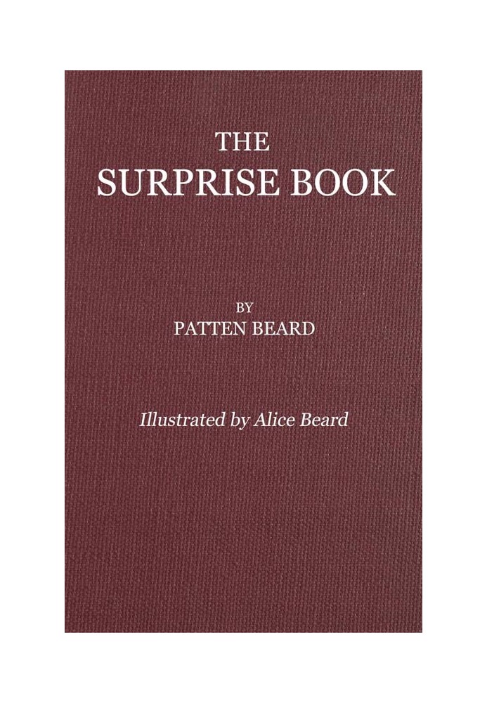 The Surprise Book