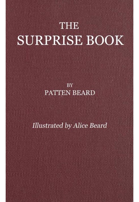 The Surprise Book