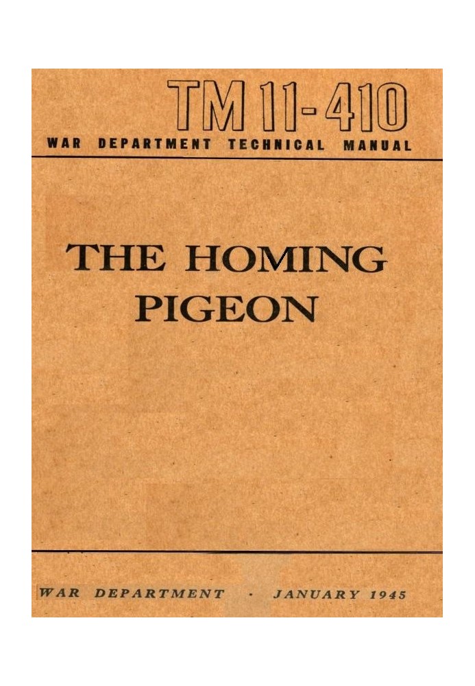 The Homing Pigeon