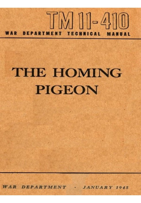 The Homing Pigeon