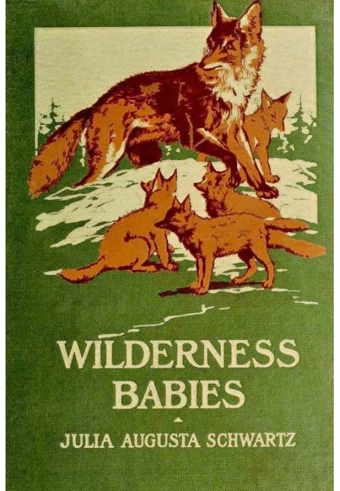 Wilderness Babies