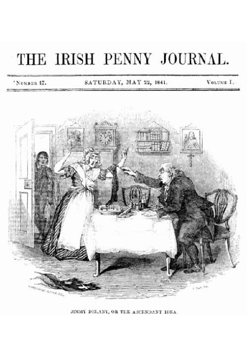 The Irish Penny Journal, Vol. 1 № 47, 22 травня 1841 р