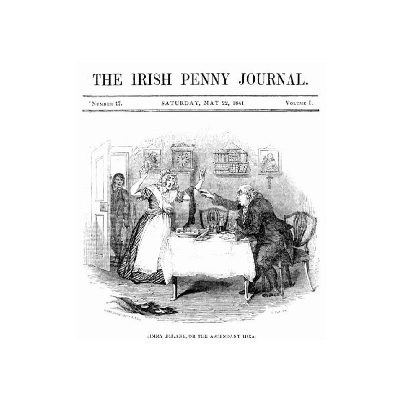 The Irish Penny Journal,...