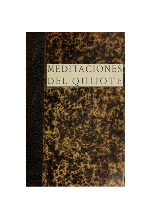 Don Quixote's Meditations