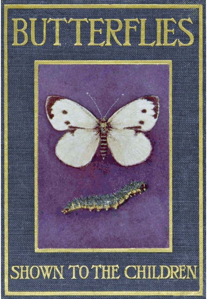 Butterflies and Moths, Shown to the Children