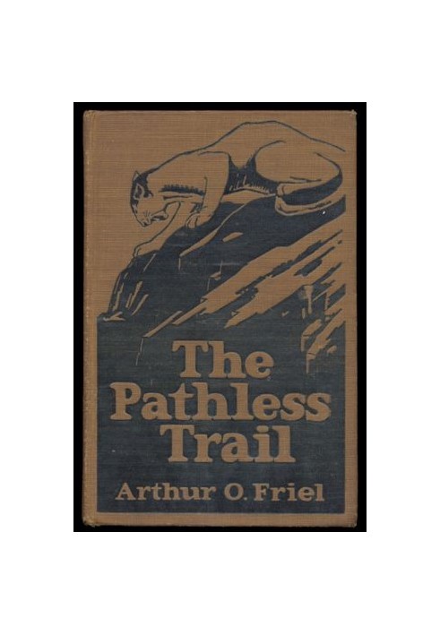 The Pathless Trail