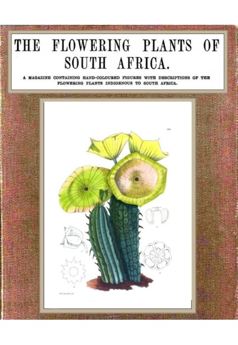 The flowering plants of South Africa; vol. 3