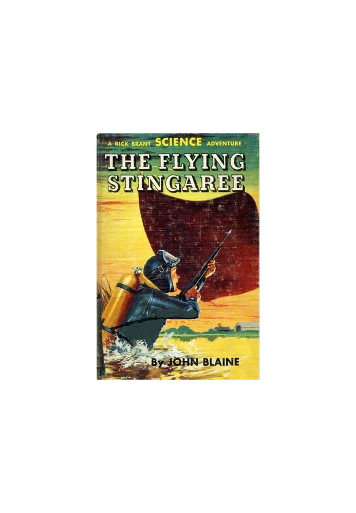 The Flying Stingaree: A Rick Brant Science-Adventure Story