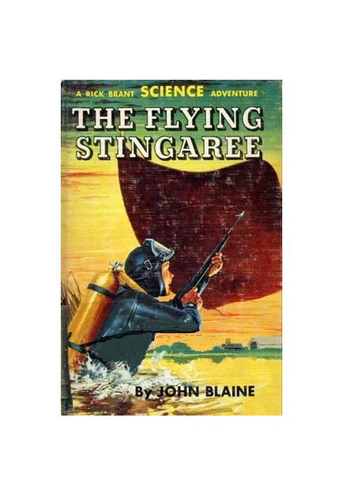 The Flying Stingaree: A Rick Brant Science-Adventure Story