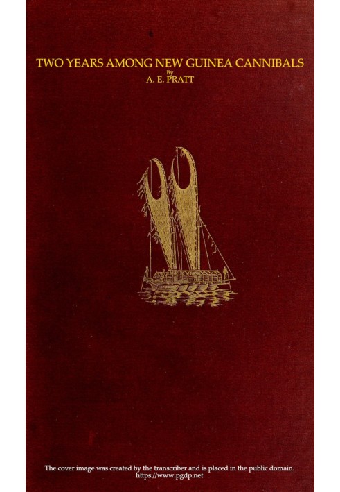 Two Years Among New Guinea Cannibals A Naturalist's Sojourn Among the Aborigines of Unexplored New Guinea