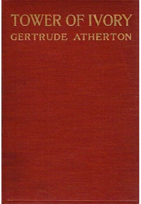 Вежа зі слонової кістки: роман
