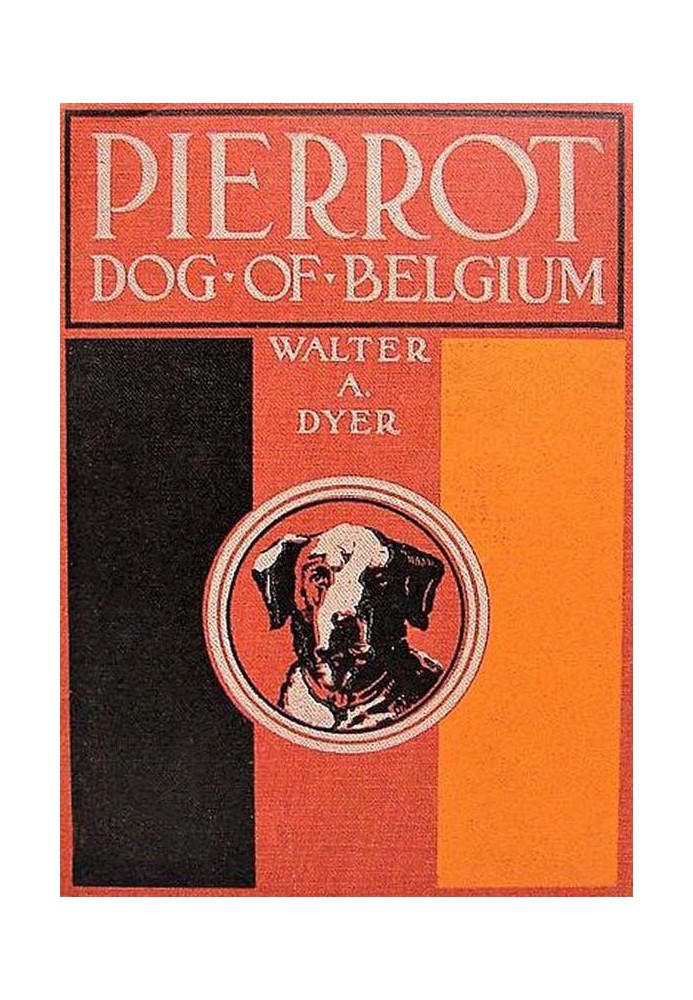 Pierrot, Dog of Belgium