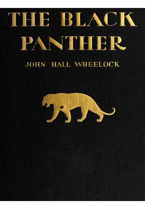 The Black Panther: A book of poems