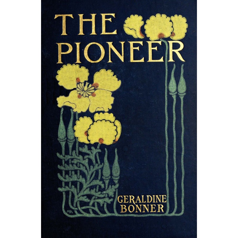 The pioneer : $b A tale of...