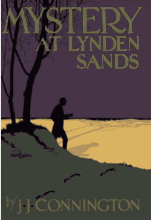 Mystery at Lynden Sands