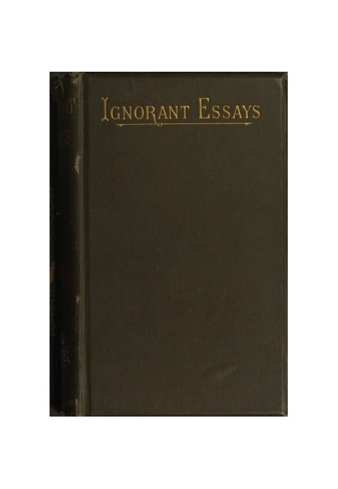 Ignorant Essays