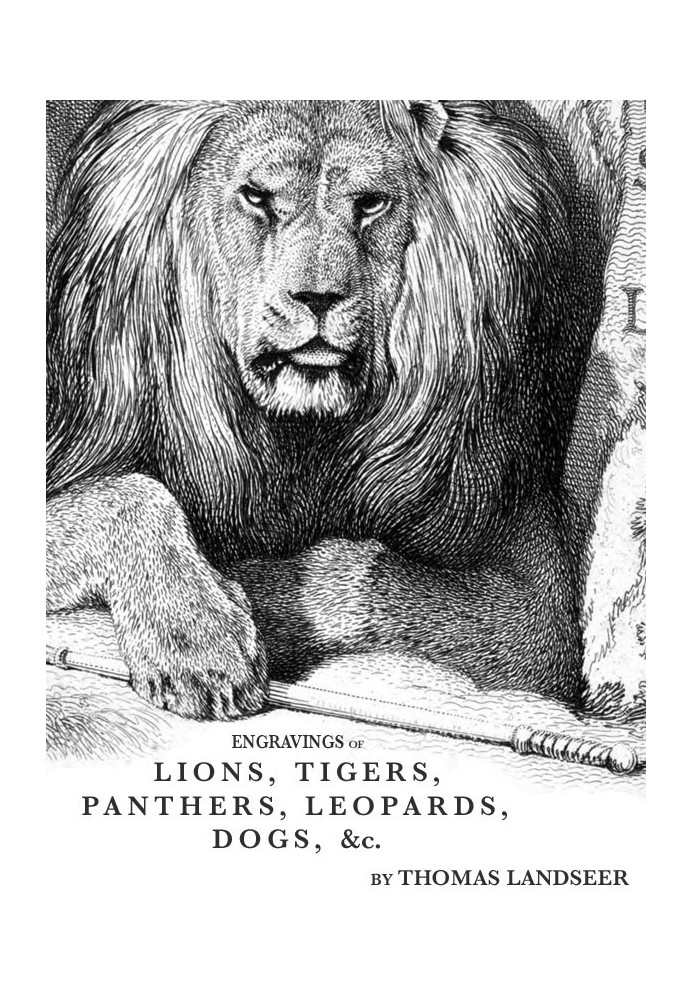 Engravings of Lions, Tigers, Panthers, Leopards, Dogs, &c.