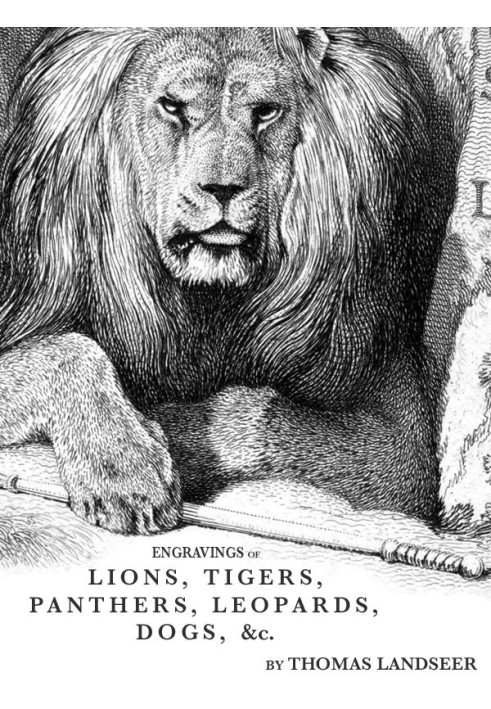 Engravings of Lions, Tigers, Panthers, Leopards, Dogs, &c.