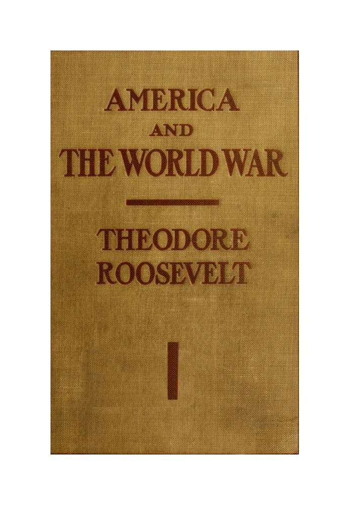 America and the World War