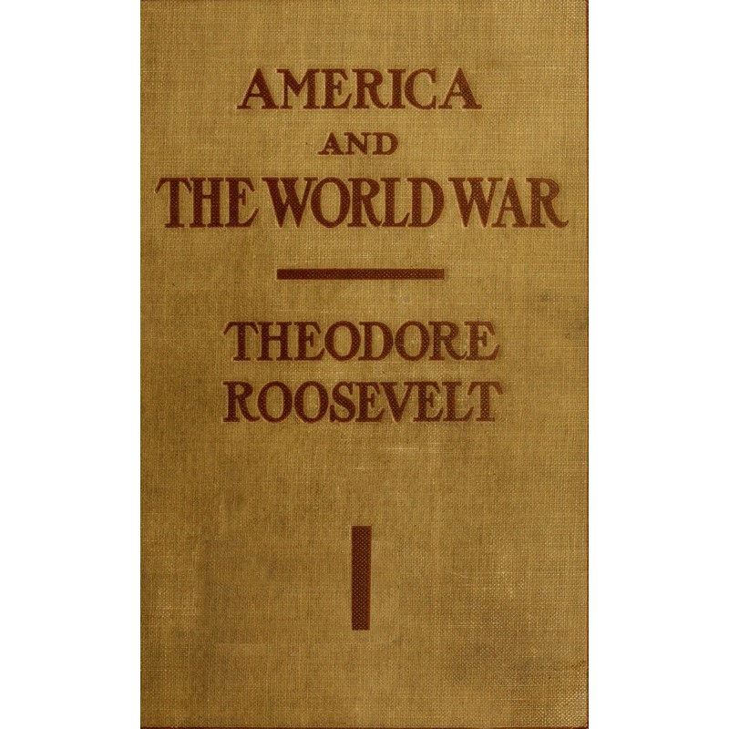 America and the World War