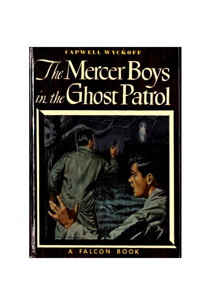 The Mercer Boys in the Ghost Patrol