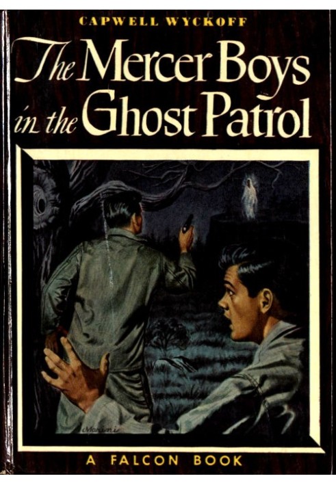 The Mercer Boys in the Ghost Patrol